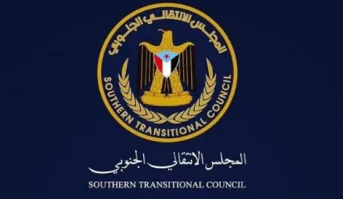 كيف تسخر القيادة الانتقالية تحركاتها لتحقيق الغاية الوطنية؟