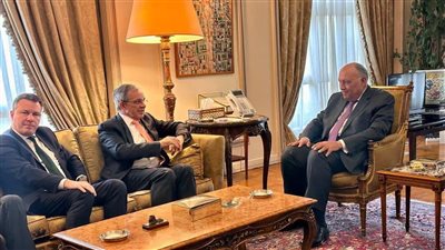  وزير الخارجية المصري يلتقي وفدًا من البرلمان الأوروبي