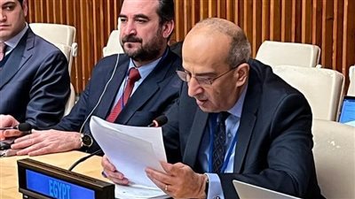 مصر تؤكد دعمها الكامل للحقوق المشروعة للشعب الفلسطيني وترفض تقويض حل الدولتين