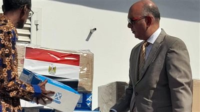 مصر تهدي جيبوتي شحنة مساعدات طبية