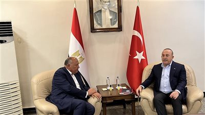 سامح شكري يصل لمطار أضنة ووزير الخارجية التركي في مقدمة مستقبليه