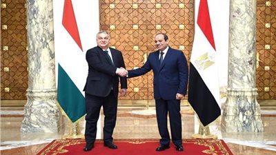 برلماني: مباحثات السيسي مع المجر أبرزت دور مصر كركيزة استقرار المنطقة