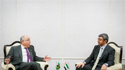 عبدالله بن زايد يلتقي عددا من وزراء خارجية الدول المشاركة في اجتماعات مجموعة العشرين بالهند (صور)