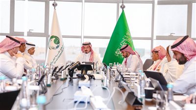 تغيير نظام الكأس ورفع مكافآت الدوري.. الاتحاد السعودي يكشف ملامح خطة تطوير الكرة السعودية