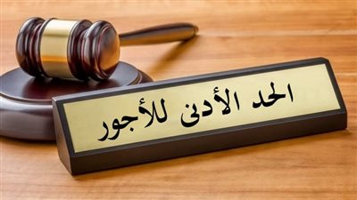 برلماني مصري: زيادة الحد الأدنى للأجور قرار 