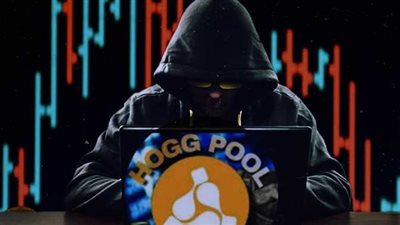 مصر.. مطالب برلمانية للحكومة باتخاذ إجراءات قانونية ضد منصة «هوج بول»