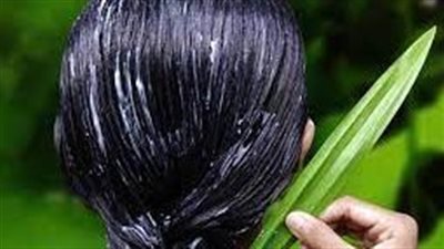 وصفات الصبار للشعر.. امزجيه مع الحلبة  