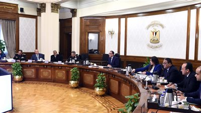 الحكومة تتابع إجراءات طرح شركتي 