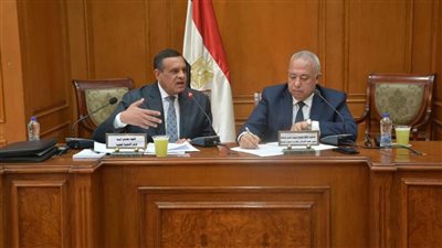 وزير التنمية المحلية يعرض جهود الوزارة في ملفات 