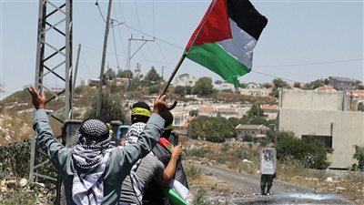 فلسطين توجه نداءً عاجلًا بضرورة مساندة شعبها في مواجهة إسرائيل