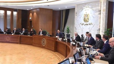 مصر.. الحكومة تكشف حقيقة استقطاع جزء من تحويلات المصريين في الخارج