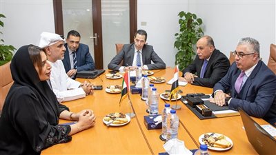 رئيس اقتصادية 