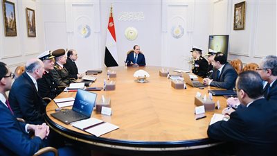 الرئيس السيسي يشدد على بناء القدرة الوطنية من خلال المشروع القومي لتطوير الموانئ المصرية