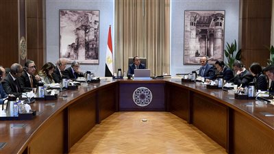 رئيس الوزراء يلتقي رئيس شركة 