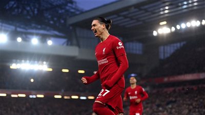 كعب نونيز بمرمى ريال مدريد يفوز بجائزة هدف الشهر في ليفربول (فيديو)