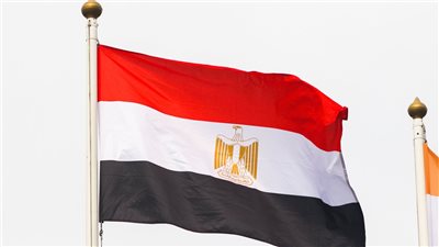 مصر.. مطالب بخطة متكاملة لتقديم حزمة من الخدمات والمبادرات لصالح المصريين بالخارج