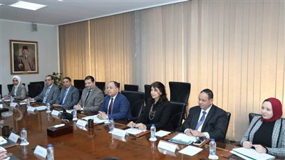 وزير المالية يلتقي السفير البريطاني في القاهرة 