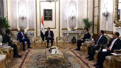 رئيس الوزراء يلتقي رئيس 