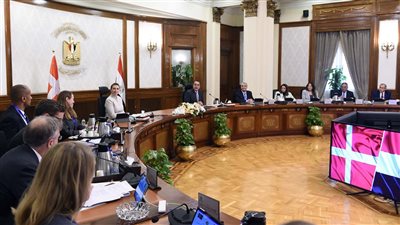 رئيسا وزراء مصر والدنمارك يترأسان جلسة مباحثات حول توسيع العمل بمشروعات الطاقة المتجددة 