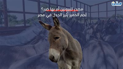 مصدر للبروتين أم بها ضرر.. 