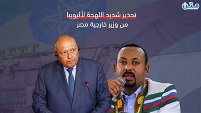 تحذير شديد اللهجة لأثيوبيا من وزير خارجية مصر (فيديوجراف)