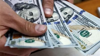 سعر الدولار اليوم 15_3_2023 في البنك المركزي المصري.. والأهلي