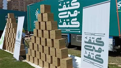 برلماني مصري: مبادرة 