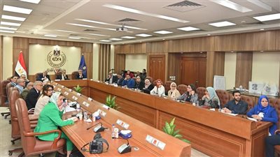 اللجنة الدائمة لصياغة مسودة الدستور الدوائي المصري تعقد اجتماعها الدوري 