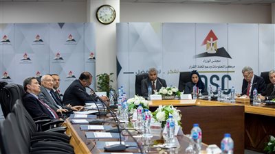 مصر.. إشادة بإطلاق وثيقة 