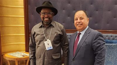 خلال لقائه نظيره الجنوب أفريقي.. وزير المالية يشدد على تضافر الجهود لمواجهة الأزمة الاقتصادية