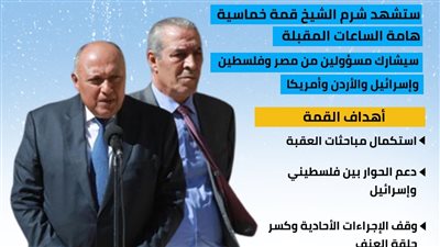 اجتماع خماسي في شرم الشيخ.. جهود للتهدئة بفلسطين قبل رمضان (انفوجراف)