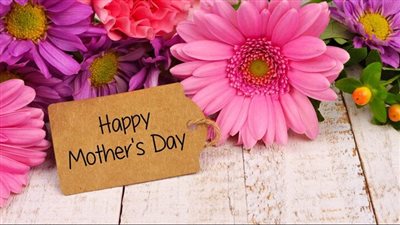 بالتزامن مع الاحتفال.. أجمل شعر عن عيد الأم