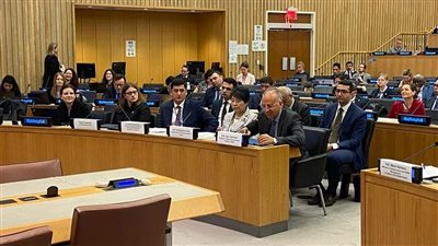 وزير الري يشارك فى جلسة 