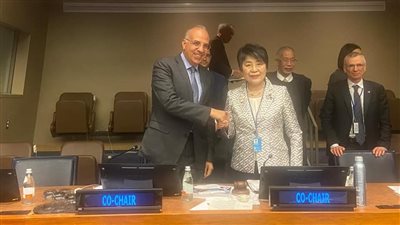 وزير الري المصري يترأس 