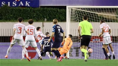 تصفيات اليورو.. ويلز تمنح تركيا صدارة المجموعة بتعادل قاتل مع كرواتيا