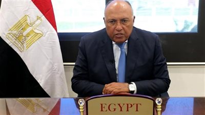 وزير الخارجية المصري يلتقي نائب رئيسة المفوضية الأوروبية