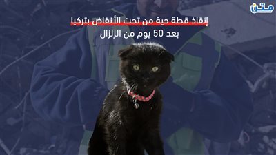 إنقاذ قطة حية من تحت الأنقاض بعد 50 يوم من زلزال تركيا (فيديوجراف)