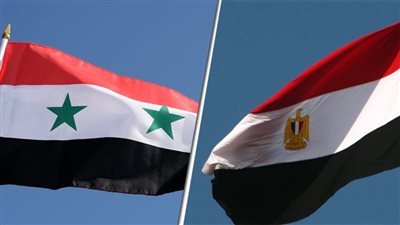 برلماني: مصر تدعم مساعي التوصل إلى تسوية شاملة للأزمة السورية