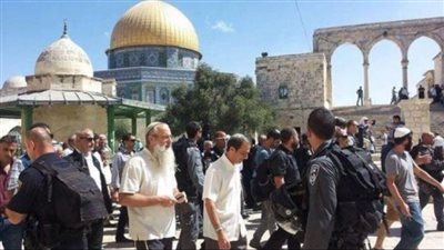 فلسطين.. عشرات المستوطنين يقتحمون المسجد الأقصى