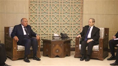 أول رد إماراتي بشأن زيارة وزير الخارجية السوري إلى مصر