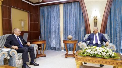 الزبيدي يستقبل السفير المصري لدى اليمن.. ما تفاصيل اللقاء؟ 