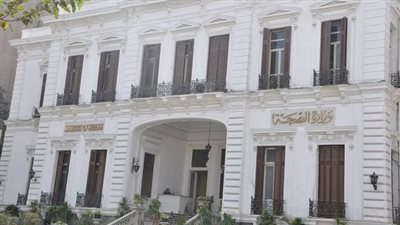 مصر.. فحص 267 ألف طفل حديث الولادة ضمن مبادرة السيسي للكشف المبكر عن الأمراض الوراثية