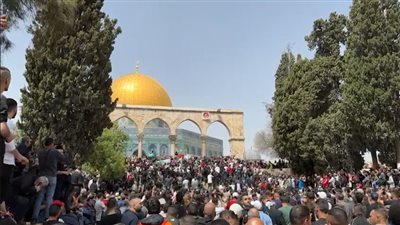 برلماني مصري يطالب المجتمع الدولى بالتدخل لحماية المقدسات الدينية في فلسطين