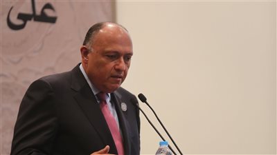 سامح شكري يجري اتصالًا هاتفيًا بمبعوث الأمم المتحدة الخاص إلى سوريا