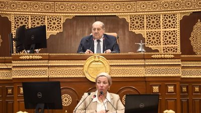 مصر.. وزيرة البيئة تستعرض نماذج لمشروعات قومية وبيئية تحقق مبدأ الاقتصاد الدوار بجلسة بالشيوخ