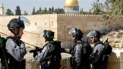 برلماني: الدولة المصرية تلعب دورا مهما في تهدئة الأوضاع في الأراضى المحتلة 