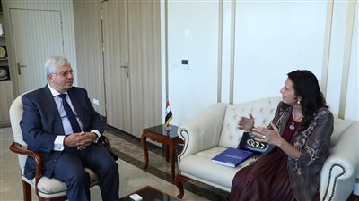مصر.. وزير التعليم العالي يستقبل المدير التنفيذي لهيئة التبادل التعليمي 