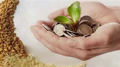 توقيت وقيمة زكاة الفطر 2023 