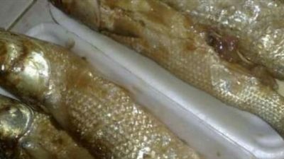 في شم النسيم.. نصائح لتجنب أضرار الفسيخ والرنجة