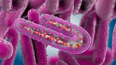 غينيا.. إصابة 6 حالات جديدة بفيروس ماربورج